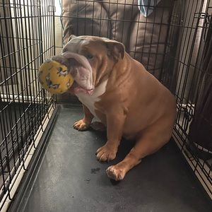 Meet your Posher, Patrick